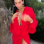Photo credit @dualipa