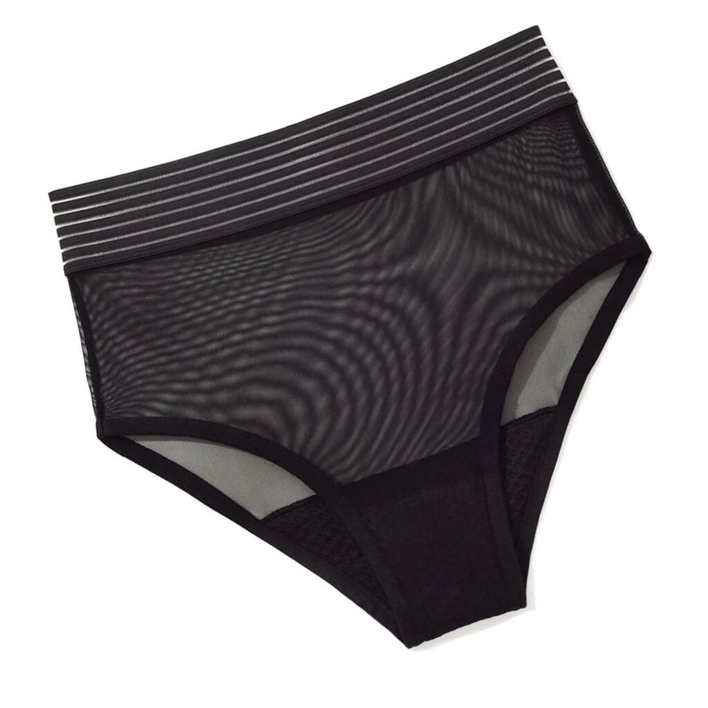 2-in-1 HEAL Postpartum Panty