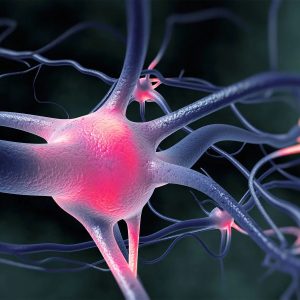 1800x1200_active_nerve_cells_firing_other.jpg