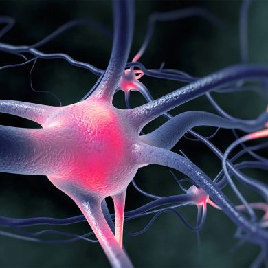 1800x1200_active_nerve_cells_firing_other.jpg